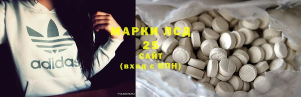 spice Верея
